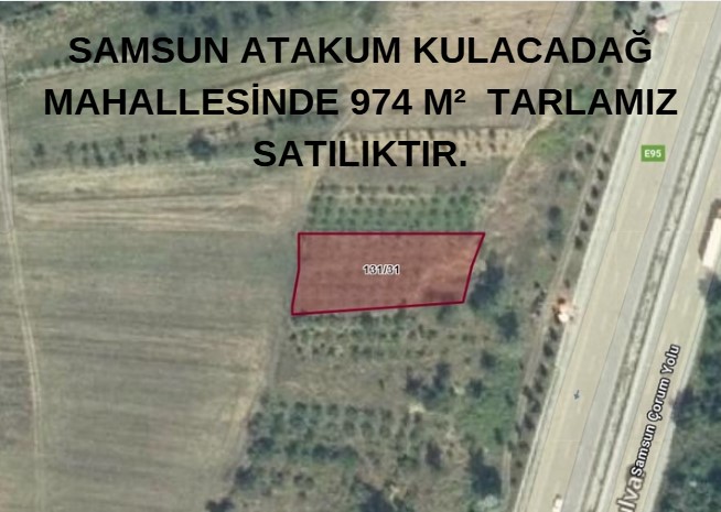 SAMSUN ATAKUM KULACADAĞ  MAH 974 M²  TARLAMIZ SATILIKTIR. - SAMSUN ATAKUM fotoğraf 6